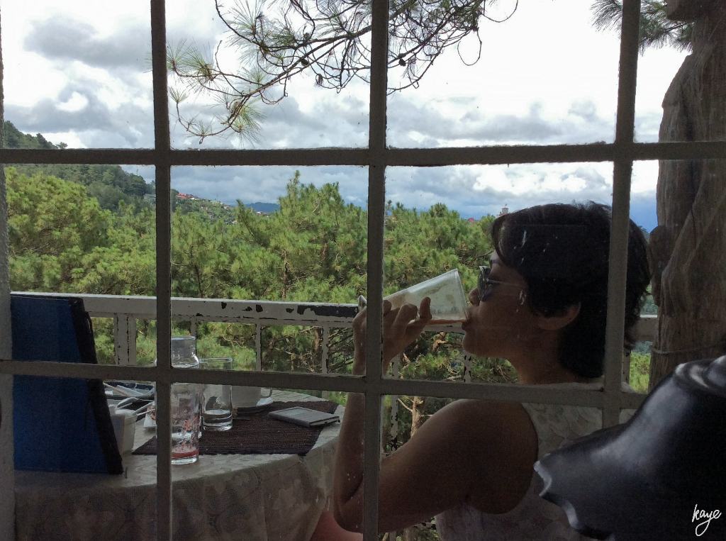 Picturesque Window