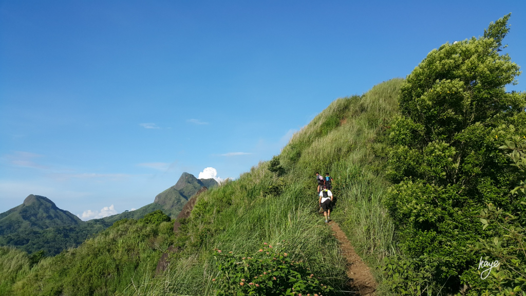 Mountain traverse, hiking group, summit view